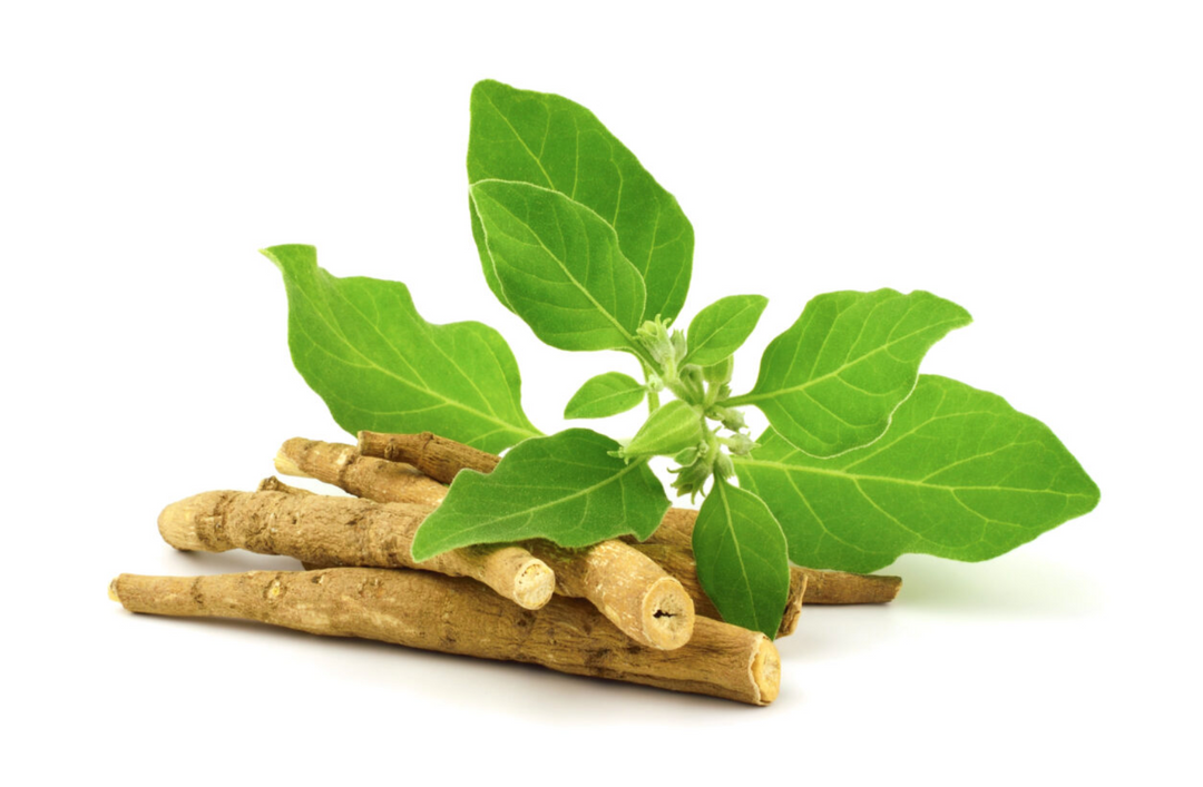 The Top 6 Benefits of Ashwagandha